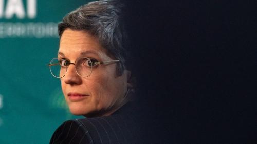 PORTRAIT. Sandrine Rousseau, l'écoféministe qui n'a pas fini de cliver, contre vents et marées