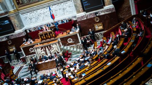 INFOGRAPHIES. Quels sont les partis qui votent le plus souvent ensemble à l'Assemblée nationale ?