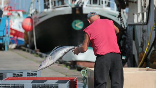 INFO FRANCEINFO. Une haute fonctionnaire soupçonnée de conflit d'intérêt avec le lobby de la pêche au thon