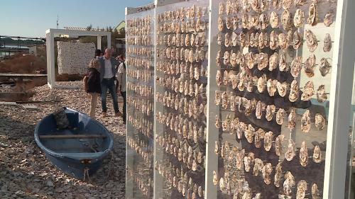 Près de Montpellier, des oeuvres architecturales en coquilles d'huîtres