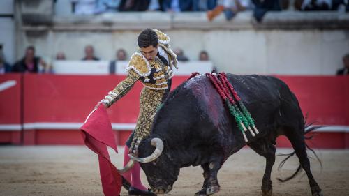 Corrida : le gouvernement va s'opposer à la proposition de loi d'interdiction déposée par La France insoumise