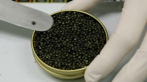 Le Caviar d'Aquitaine est désormais protégé