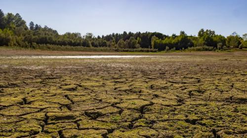 Réchauffement climatique : 2022, une année de records de températures