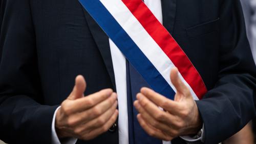 INFO FRANCEINFO. Trois parlementaires ou ex-parlementaires visés par une plainte d'Anticor pour détournement de fonds publics