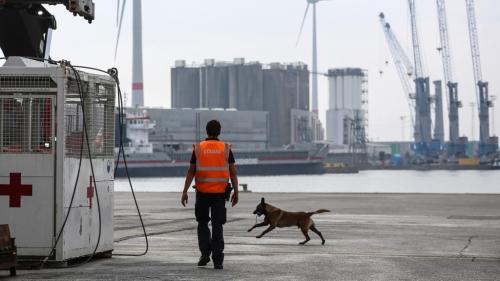 REPORTAGE. Saisies records de cocaïne : le port belge d'Anvers plus que jamais ciblé par les narcotrafiquants: