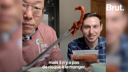 VIDEO. Joseph Yoon, le chef qui rend les insectes appétissants