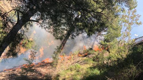 Bouches-du-Rhône : un incendie dans les Alpilles parcourt 130 hectares