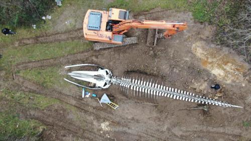 En Indre-et-Loire, la baleine monumentale de l'artiste Philippe Pasqua dénonce les effets du réchauffement climatique sur les océans