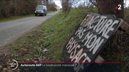 VIDEO. Ecologie : A69 Toulouse-Castres, un chantier qui fait débat