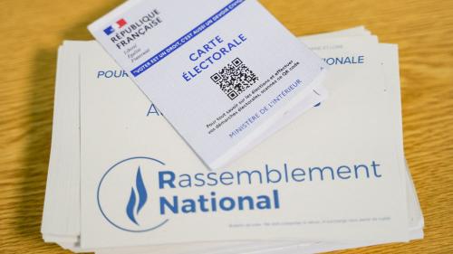 VRAIOUFAUX. Législatives 2024 : est-il vrai que le RN ne peut pas retirer les candidats qu'il désavoue ?