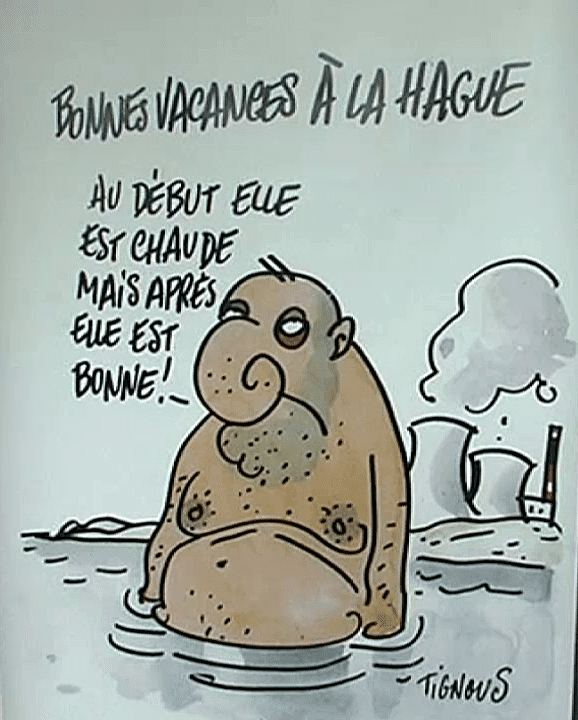 Dessin de Tignous dans l'exposition "SOS, le dessin de presse prend l'eau"
 (France 3 / Culturebox / capture d&#039;écran)