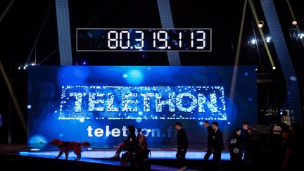 Téléthon (illustration). (PHILIPPE LOPEZ / AFP)