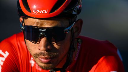 Caleb Ewan a remporté la 3e étape de Tirreno-Adriatico, mercredi. (SHUTTERSTOCK/SIPA / SIPA)