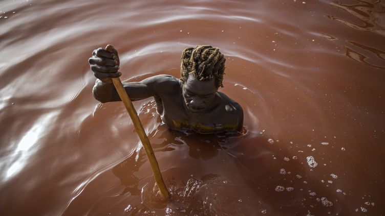 Réchauffement Climatique Au Sénégal Le Lac Rose Perd Sa Couleur Exceptionnelle 0285