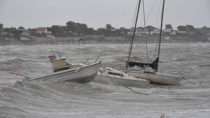 Dans le port d'Angoulins, le 7 juin 2019. (XAVIER LEOTY / AFP)