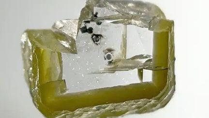 Des cristaux de davemaoïte enfermés dans un diamant. (Aaron Celestian - Natural History Museum of Los Angeles County)
