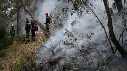 Des pompiers à l'oeuvre à&nbsp;Mostuéjouls en Aveyron, le 9 août 2022. (VALENTINE CHAPUIS / AFP)