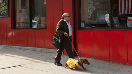 Danny De Vito dans "Wiener-Dog" ("Le Teckel") de Todd Solondz
 (PROKINO Filmverleih GmbH)