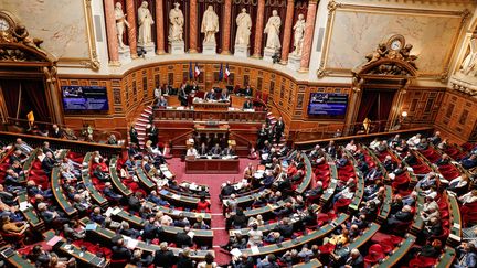 Le Sénat français à Paris, le 5 juillet 2023. (LAURE BOYER / HANS LUCAS)