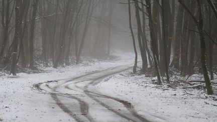 Des chutes de neige dans la région de Thionville (Moselle), le 12 janvier 2021. (MAXPPP)