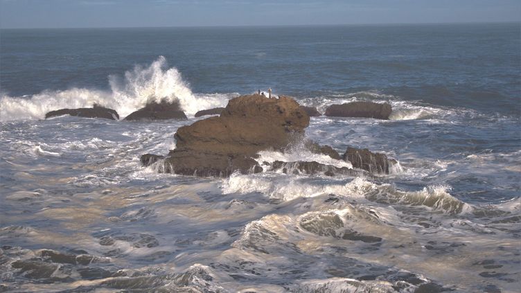 Le mouvement des vagues pourrait-il expliquer la formation de notre tube digestif ?