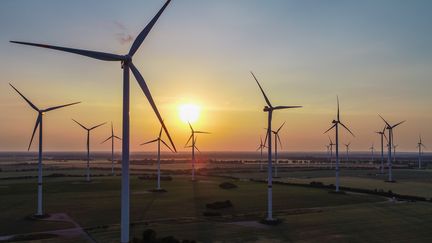 Un champ d'éoliennes en Allemagne.&nbsp; (PATRICK PLEUL / DPA)