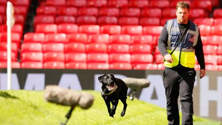 &nbsp; (Des chiens renifleurs sur la pelouse d'Old Trafford © REUTERS)