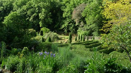 De la partie supérieure des jardins, la vue est magnifique sur les topiaires de la pivoineraie et le labyrinthe planté&nbsp;de charmes (Carpinus betulus).&nbsp; (ISABELLE MORAND / RADIO FRANCE / FRANCE INFO)