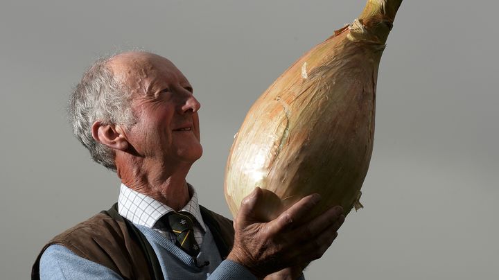 Peter Glazebrook pr&eacute;sente son oiugnon g&eacute;ant durant le "Autumn flower show" &agrave; Harrogate (Royaume-Uni), le 13 septembre 2013. (NIGEL RODDIS / REUTERS)