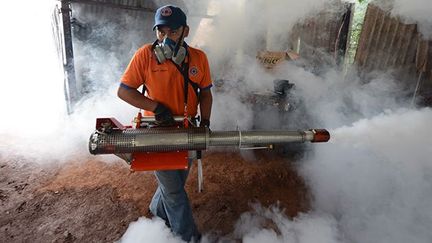 Un employé municipal désinfecte par fumigation des bâtisses à Tegucigalpa pour lutter contre l’aède aegypti, le moustique vecteur principal de la dengue et de la fièvre jaune. (AFP PHOTO /Orlando SIERRA)