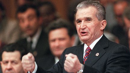 Le dictateur roumain Nicolae Ceausescu, président de la République socialiste de Roumanie, de 1974 à 1989.&nbsp; (GERARD FOUET / AFP)