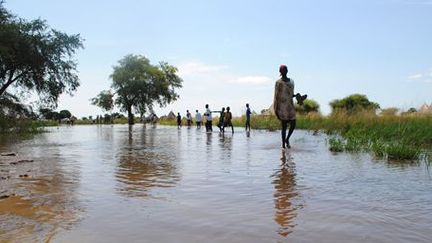 Réfugiés sud-soudanais dans le sud de l'Ethiopie, le 16 octobre 2014. (AFP - Jacky Fortin)