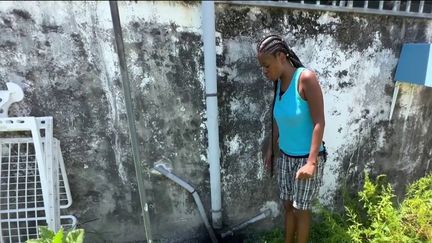 Guadeloupe/Martinique : les cas de dengue se multiplient