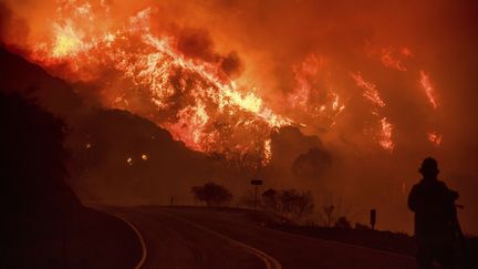 DECEMBRE. Un feu de forêt dans le parc national Los Padres, le 8 décembre 2017 à Ojai (Etats-Unis), en Californie. (NOAH BERGER / AP / SIPA)