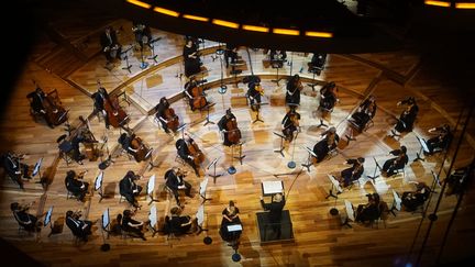 "Novembre en mon âme", de Bechara El-Khoury. Concert d'hommage aux victimes des attentats du 13 novembre, par l'Orchestre de chambre de Paris. (CHARLES D'HEROUVILLE/PHILHARMONIE DE PARIS)