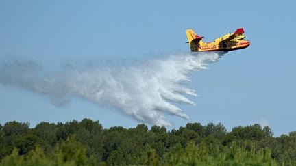 Un Canadair lors d'un exercice au-dessus de Marseille, le 8 juin 2023. (NICOLAS TUCAT / AFP)