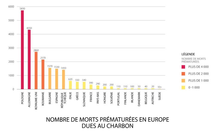 &nbsp; (© WWF/HEAL/CAN Europe/Sandbag)