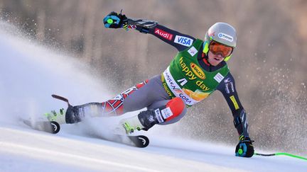 Ted Ligety a survolé le géant de Kranjska Gora. (JURE MAKOVEC / AFP)