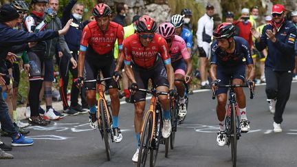 Le peloton lors de la 17e étape du Giro d'Italie. (LUCA BETTINI / POOL)