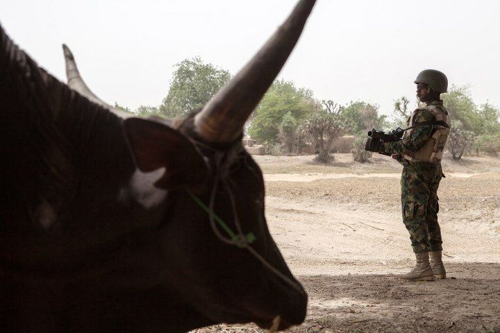 ​Militaire nigérian montant la garde près de la ville de Damasak, à la frontière avec le Niger, le 25 avril 2017.  (AFP - FLORIAN PLAUCHEUR)