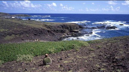 Paysages volcaniques de l'île de la Désirade (DR)