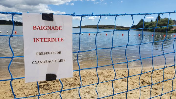 Le lac des Hermines, à la station de Super-Besse, interdit à la baignade depuis le 8 juillet 2022 en raison des cyanobactéries.
 (BORIS HALLIER / RADIO FRANCE)