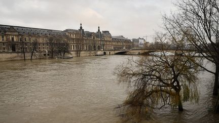 La crue de la Seine à proximité du Musée du Louvre (9 janvier 2018)
 (Christophe Simon/AFP)