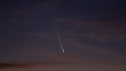 La comète C/2023 A3 Tsuchinshan-Atlas vue dans le ciel au-dessus du village d'Aguas Blancas (Uruguay), le 28 septembre 2024. (MARIANA SUAREZ / AFP)