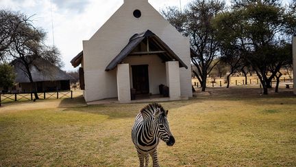 Après avoir autorisé uniquement les ballades en voitures personnelles, les excursions accompagnées de rangers sont depuis peu possibles. Les touristes venus principalement de Pretoria et de Johannesburg prennent à nouveau le chemin des parcs pour y poser leurs bagages dans les campings ou les lodges.&nbsp; &nbsp; &nbsp;&nbsp; (MICHELE SPATARI / AFP)