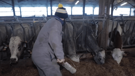 Acculée par les dettes contractées, la hausse des prix, les maladies bovines et les restrictions d'irrigation, une exploitation bio d'Ariège tenue par un père et son fils est en souffrance. Ils participent au blocage de l'autoroute A64.