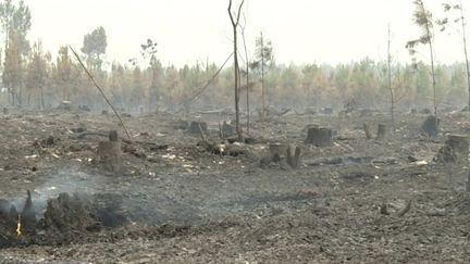 Incendies en Gironde : les flammes gagnent encore du terrain