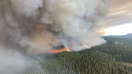 Vue aérienne d'un incendie en Colombie britannique (Canada), le 10 juillet 2023. (BC WILDFIRE SERVICE / ANADOLU AGENCY / AFP)