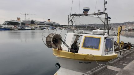 Les bateaux restent à quai, les sorties en mer étant de moins en moins rentables. (GUILLAUME FARRIOL / RADIO FRANCE)