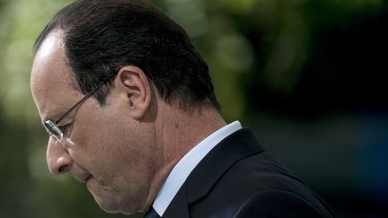 Le pr&eacute;sident de la R&eacute;publique, Fran&ccedil;ois Hollande, en visite en Andorre, le 13 juin 2014. (FRED DUFOUR / AFP)